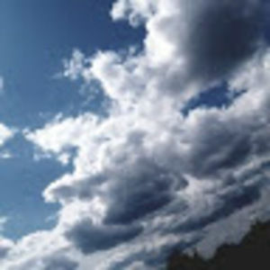 Meet your Posher, Harley